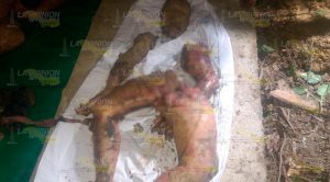 Hallán fosas con dos cadáveres mutilados