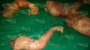 Hallán fosas con dos cadáveres mutilados