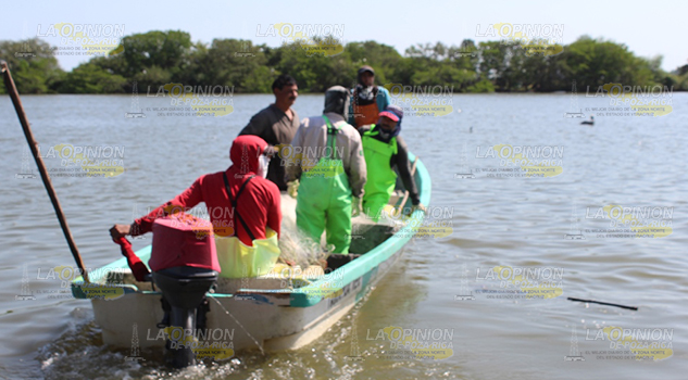 Pescadores desesperados