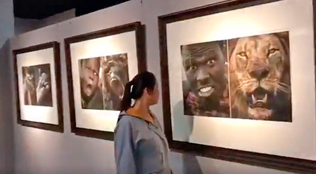 Indignación y enfado por la galería de un museo que compara africanos con animales