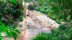 Una porquería el Rastro de Papantla El arroyo es invadido por aves de rapiña y desperdicios.