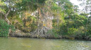 Turismo, la esperanza de Cazones