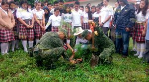 Siembran arbolitos de Pino y Roble en campaña de reforestación