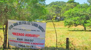 Campesinos se apoderan de un predio propiedad de ex diputado
