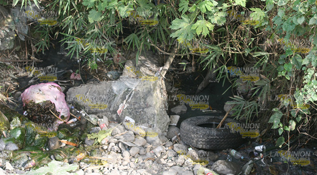 Arroyos llenos de basura Arroyos Llenos Basura