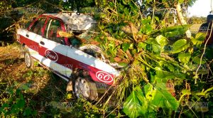 Automóvil de alquiler impacta a vaca Automóvil alquiler Impacta Vaca