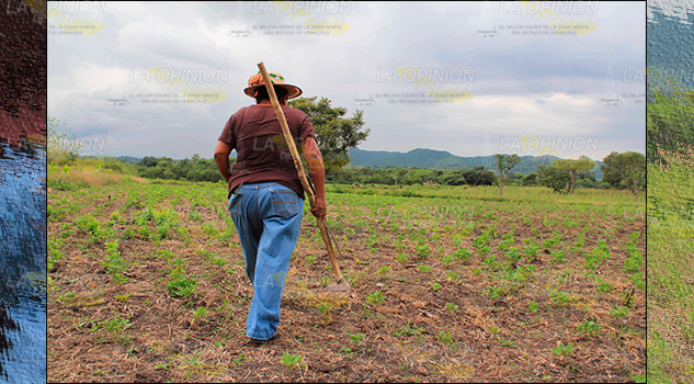 Campo en problemas