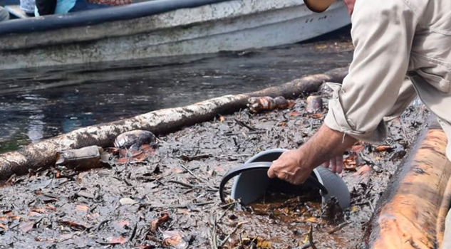 Derrame de hidrocarburo en río Tonalá provoca la muerte de especies Derrame Hidrocarburo Río Tonalá Muerte Especies