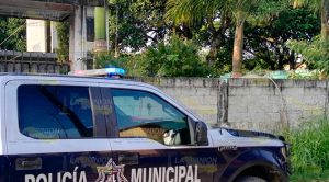 ¡Lluvia de plomo! Lluvia Plomo