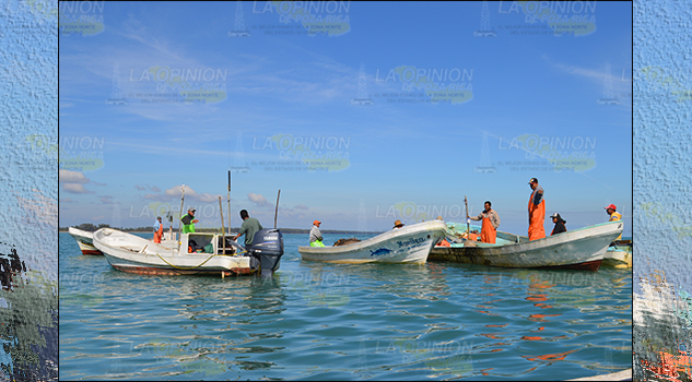 Se desploma la pesca en el mar