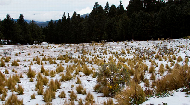 Podría caer nieve en el Pico de Orizaba y Cofre de Perote la próxima semana Podría Caer Nieve Pico Orizaba Cofre Perote Próxima Semana
