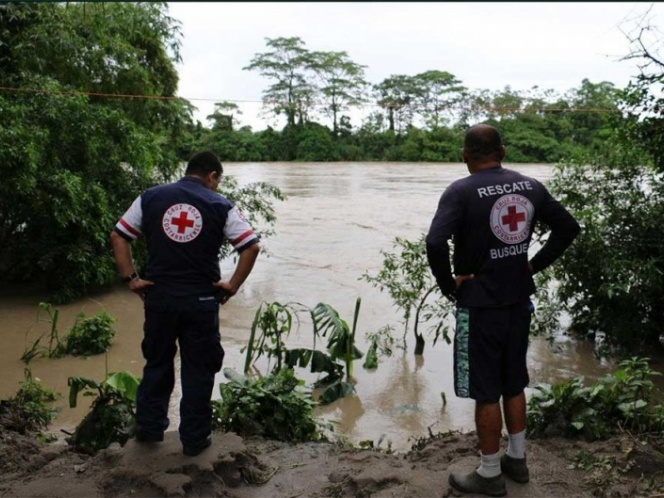 Turisteaba en Costa Rica y un árbol le cayó encima; murió