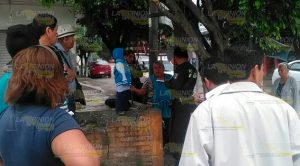 Menor es abandonado en la colonia Hidalgo