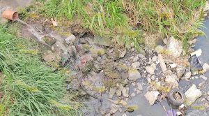 Arroyos mueren lentamente