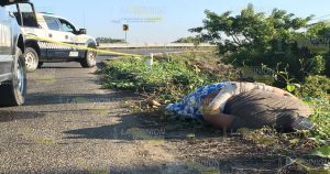 Torturan y matan a comerciante