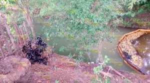 Fuga de crudo afecta a ejidatarios