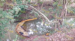 Fuga de crudo afecta a ejidatarios