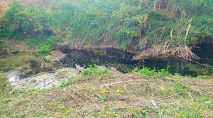 Fuga de crudo afecta a ejidatarios