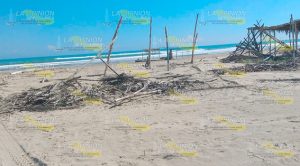Demandan el retiro de palizada de la playas tuxpeñas