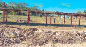 Demandan el retiro de palizada de la playas tuxpeñas