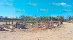 Demandan el retiro de palizada de la playas tuxpeñas