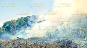 Quema de pastizal causa movilización