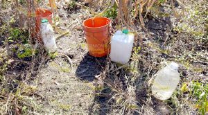 Quema de pastizal causa movilización