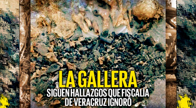 Siguen hallazgos en La Gallera, fosa que Fiscalía ignoró