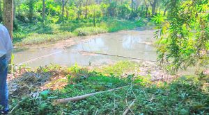 Confirman proyecto de agua