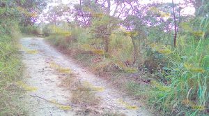 Hallan una persona ejecutada embolsada (VIDEO)