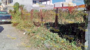 Jardinero apunto del desmayo