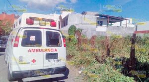 Jardinero apunto del desmayo