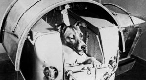 Hace 60 años ‘Laika’ viajó al espacio pero nunca regresó