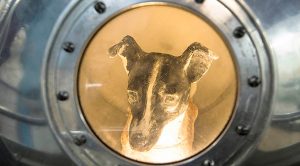 Hace 60 años ‘Laika’ viajó al espacio pero nunca regresó