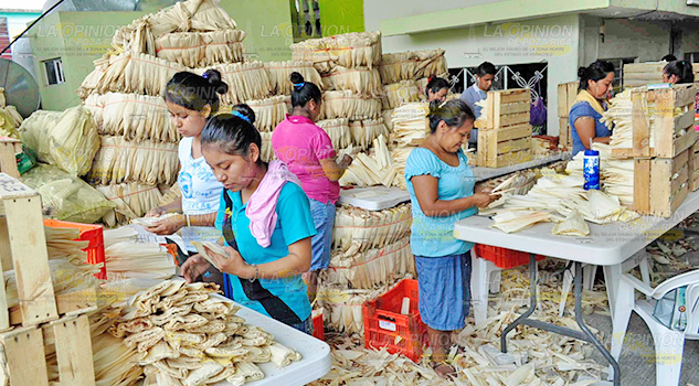 Productores de maíz, en crisis