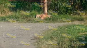 AL MOMENTO: ¡Ejecutan a una mujer!