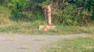 AL MOMENTO: ¡Ejecutan a una mujer!