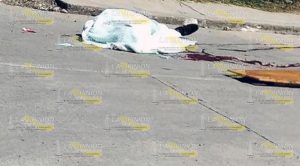 Trágica muerte de un motociclista
