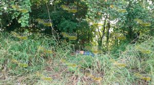 Hallan ejecutada a una mujer