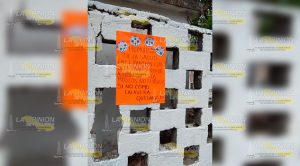 Previenen proliferación del mosco transmisor