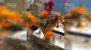 Previenen proliferación del mosco transmisor