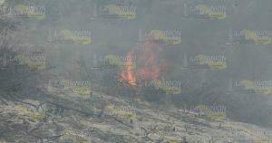 Incendian pastizal