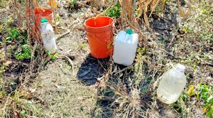 Quema de pastizal causa movilización