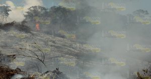 Incendian pastizal
