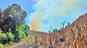 Quema de pastizal causa movilización