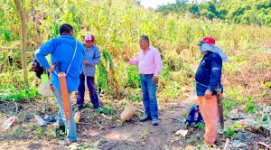 Quema de pastizal causa movilización