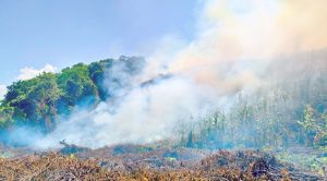 Quema de pastizal causa movilización