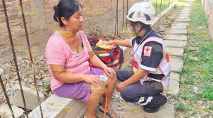 Perro de raza mestiza muerde a mujer