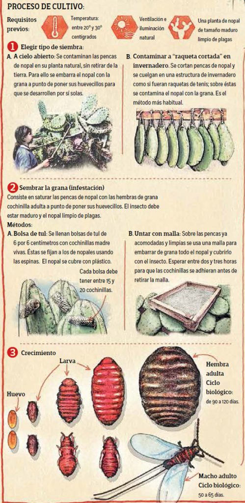 El ABC: Haga su rojo carmesí