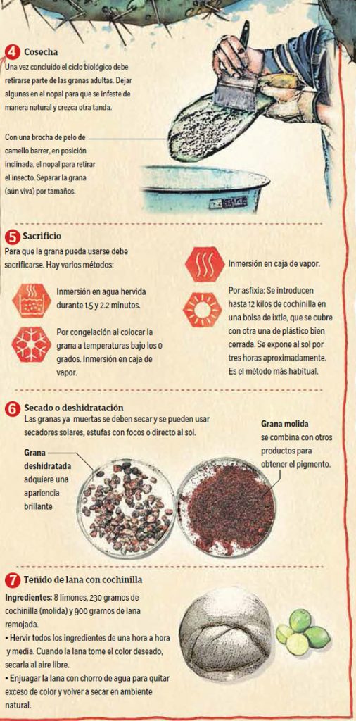 El ABC: Haga su rojo carmesí